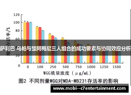 萨利巴 乌帕与楚阿梅尼三人组合的成功要素与协同效应分析
