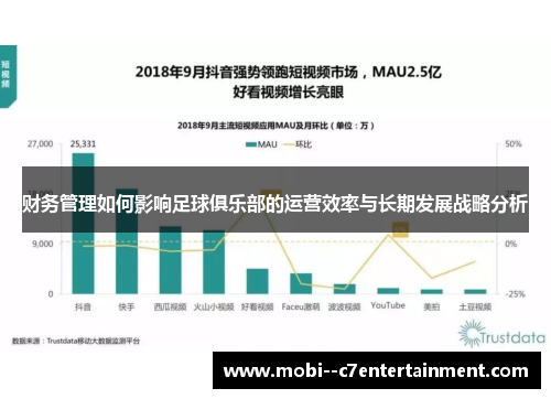 财务管理如何影响足球俱乐部的运营效率与长期发展战略分析 财务管理如何影响足球俱乐部的运营效率与长期发展战略分析