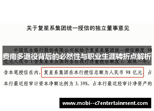 费南多退役背后的必然性与职业生涯转折点解析 费南多退役背后的必然性与职业生涯转折点解析