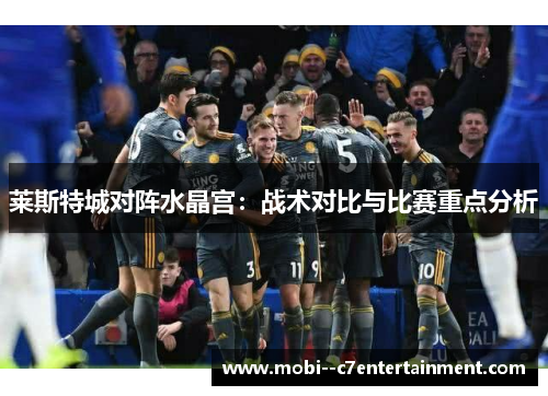 莱斯特城对阵水晶宫：战术对比与比赛重点分析
