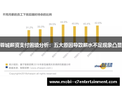 蓉城薪资支付困境分析：五大原因导致薪水不足现象凸显