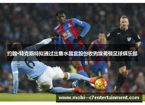 约翰·特克斯特拟通过出售水晶宫股份收购埃弗顿足球俱乐部