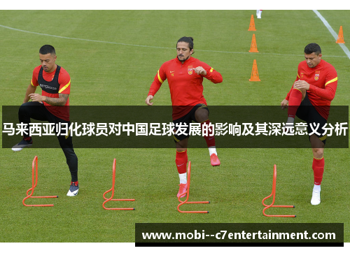 马来西亚归化球员对中国足球发展的影响及其深远意义分析 马来西亚归化球员对中国足球发展的影响及其深远意义分析