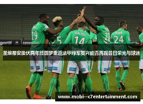 圣埃蒂安蛰伏两年终圆梦重返法甲绿军复兴能否再现昔日荣光与球迷 圣埃蒂安蛰伏两年终圆梦重返法甲绿军复兴能否再现昔日荣光与球迷