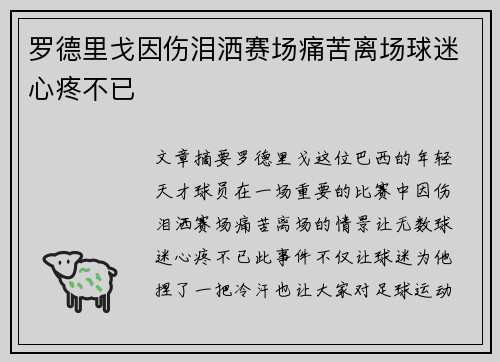 罗德里戈因伤泪洒赛场痛苦离场球迷心疼不已 罗德里戈因伤泪洒赛场痛苦离场球迷心疼不已